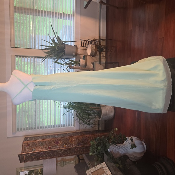 NWT JJs HOUSE Chiffon Draped Pleated Fit & Flare Formal Gown Sz 16 Mint Green - Picture 5 of 8